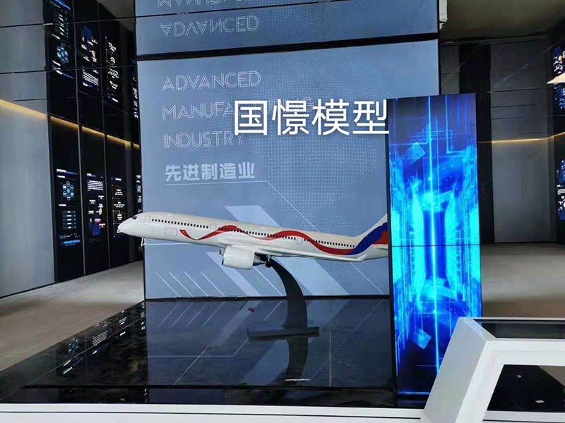 仙居县飞机模型